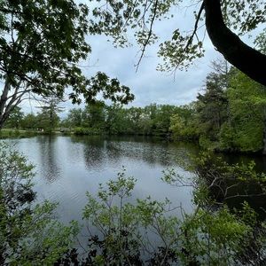 Meet your Posher, Florian